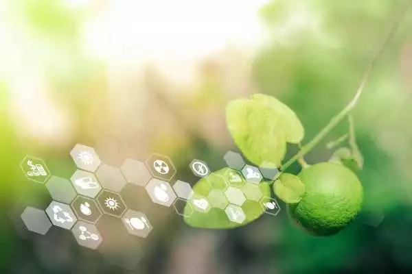 Groen blad met een raster van duurzaamheidspictogrammen